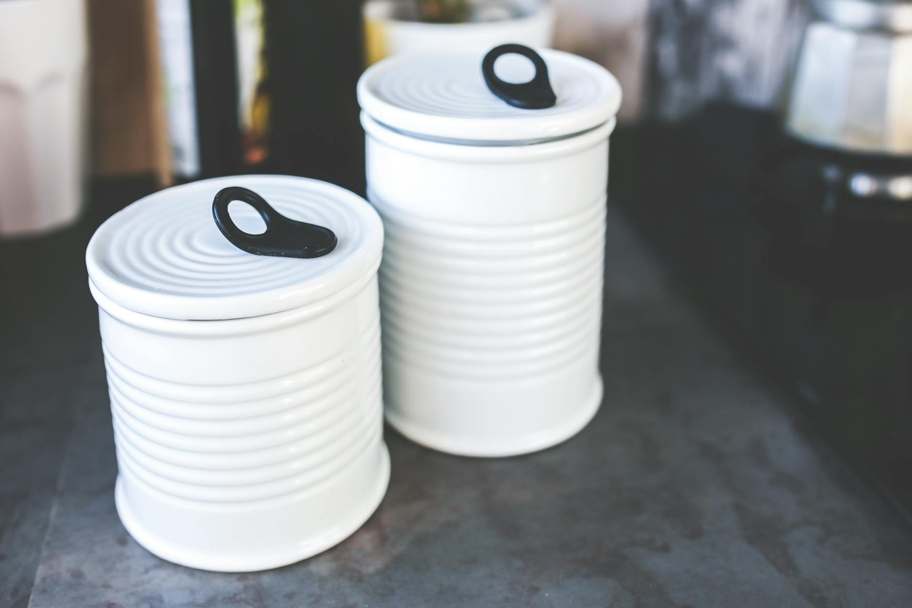 The Bear Behavior Problem That Canisters Solve