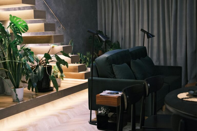 The Best Plants for a Low Light Apartment - Featured image