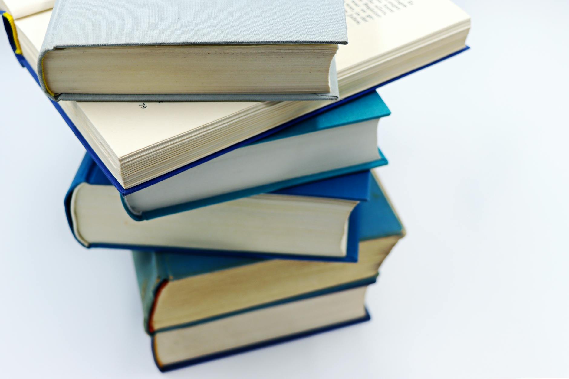 The Investor Perspective: Publishing Economics and Media Companies