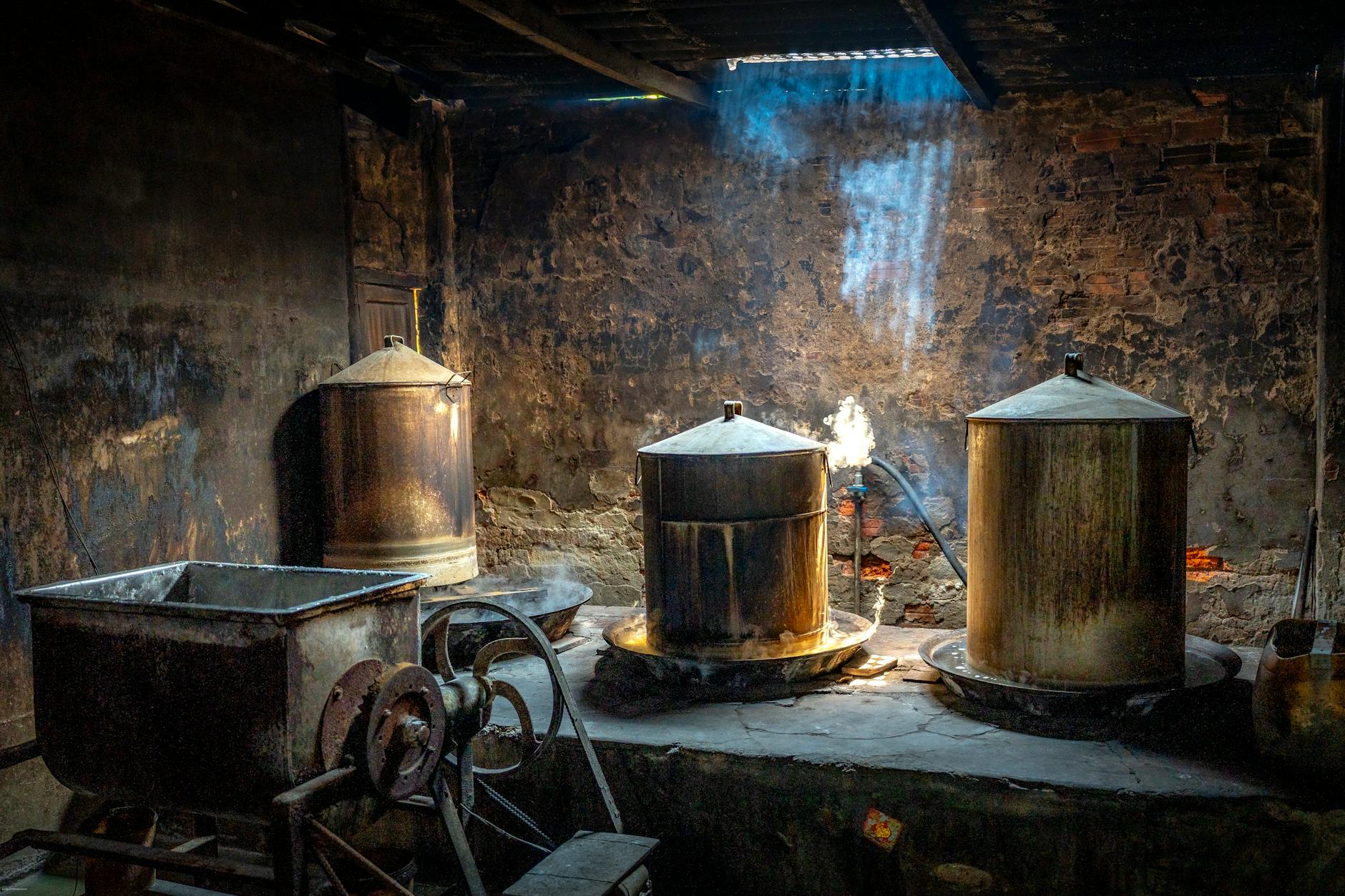 THE RISE OF SELF-DISTILLATION AND EMERGING RESEARCH