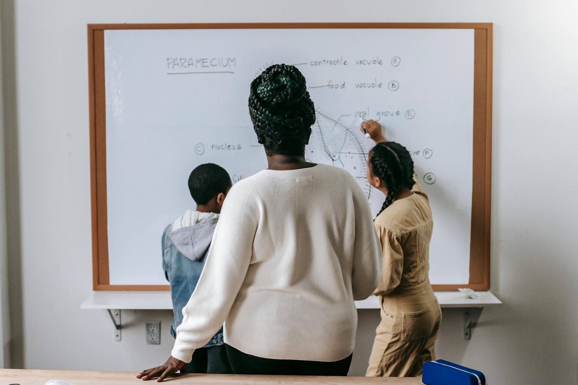 The Role of Adaptive Learning Systems and Emission Controls