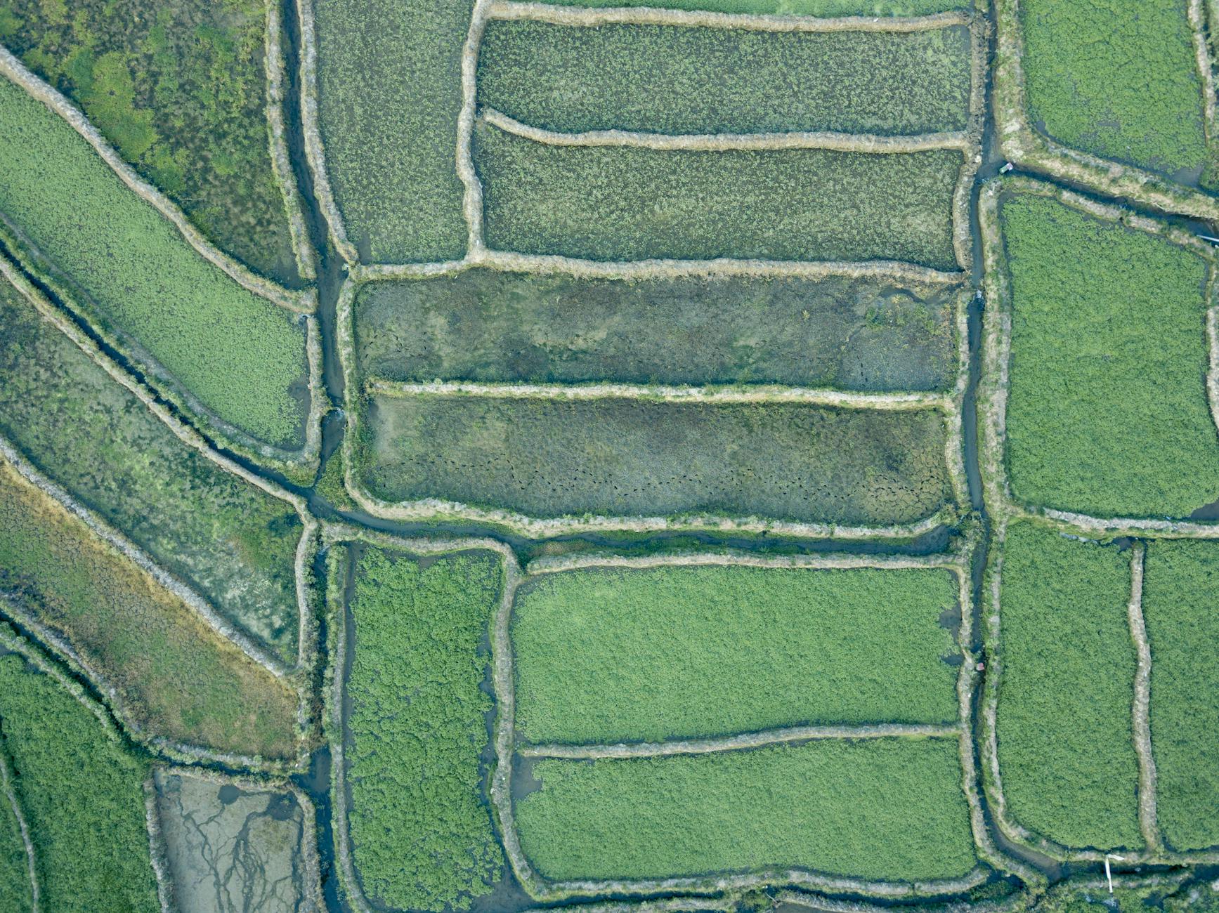 What Conservation Goals Drive Timed Entry Requirements?