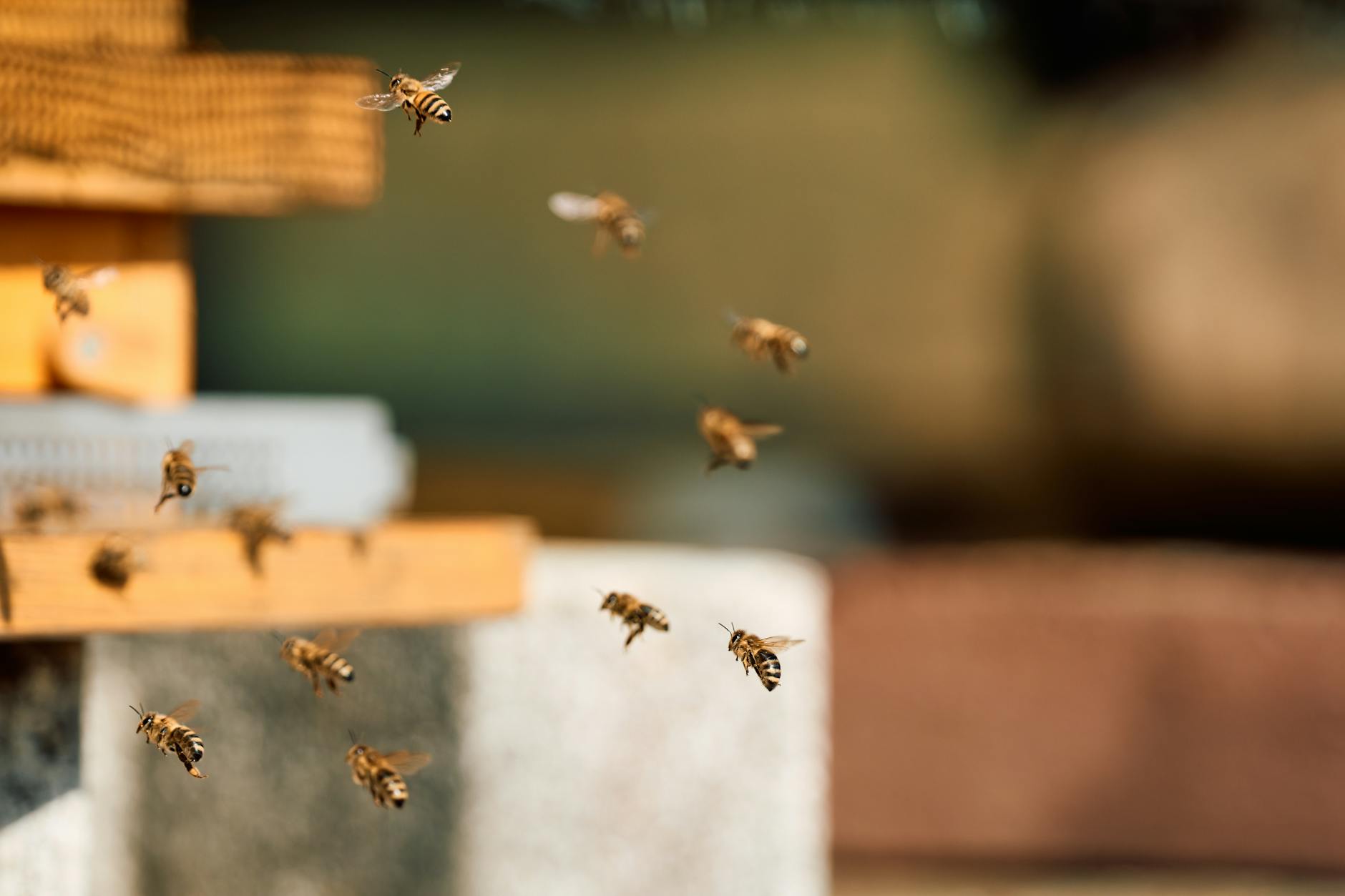 What Do Population Tracking Studies Actually Measure?