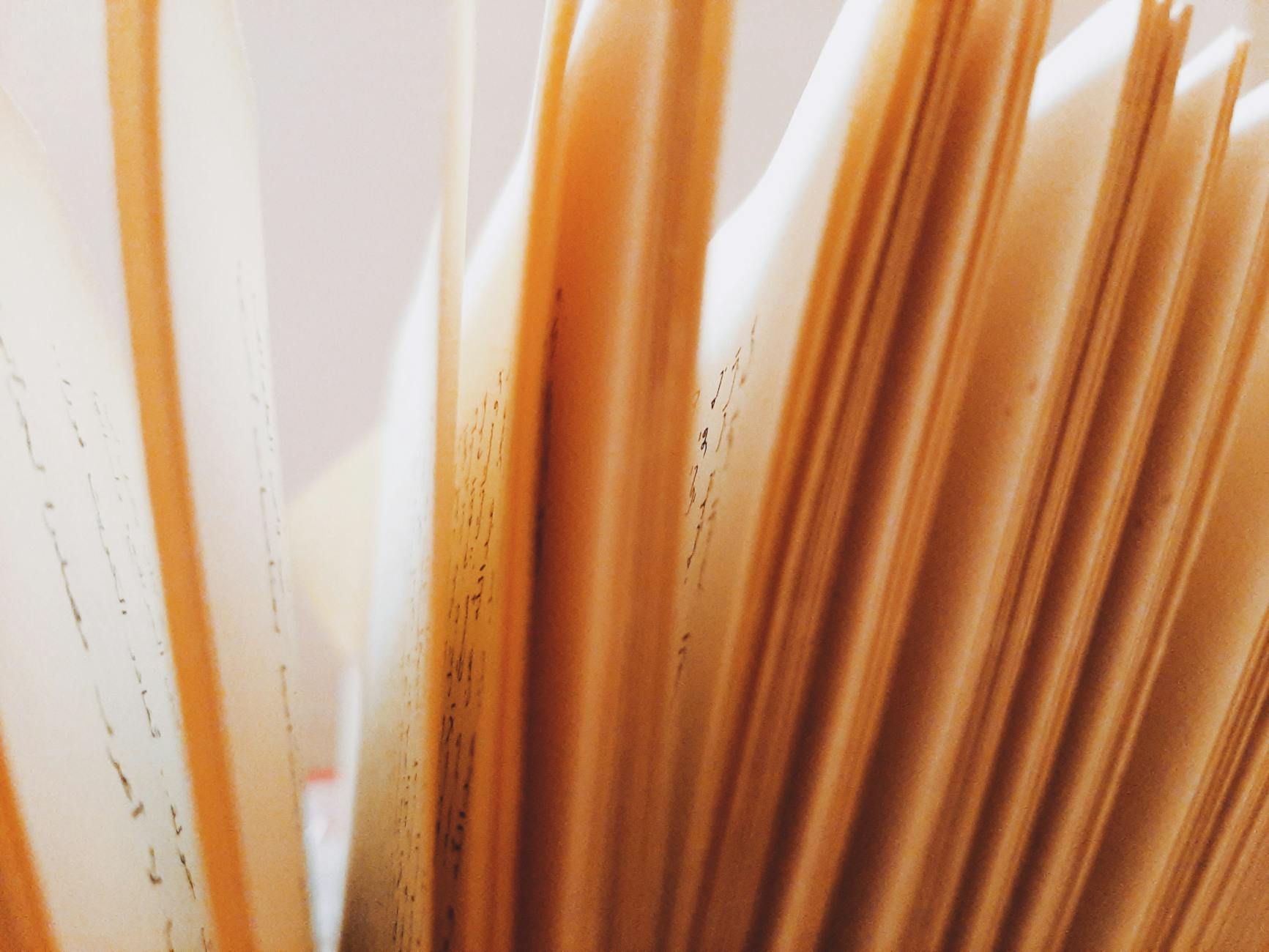 What Happens During the Maillard Reaction?