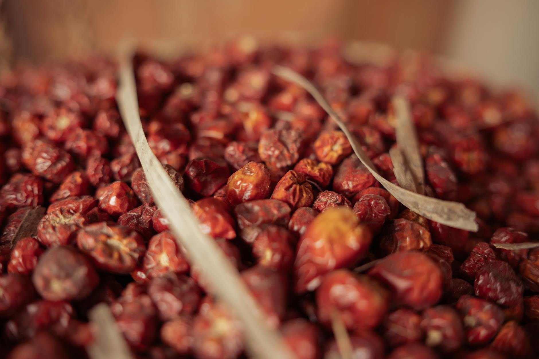 What Makes Dried Beans Superior to Canned Alternatives?