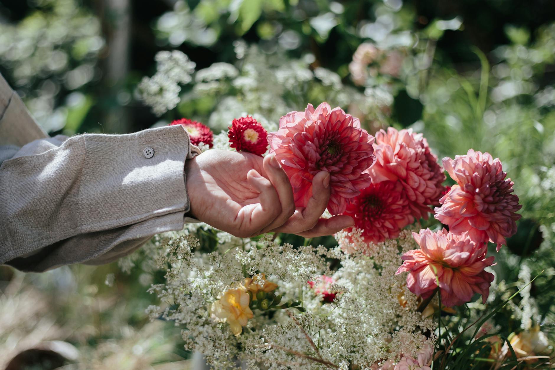 WHEN AND HOW TO HARVEST DAHLIAS FOR WINTER STORAGE
