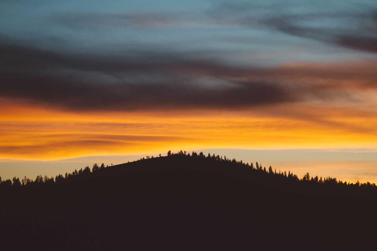 When Reading Sprints Backfire—Warning Signs and Limitations