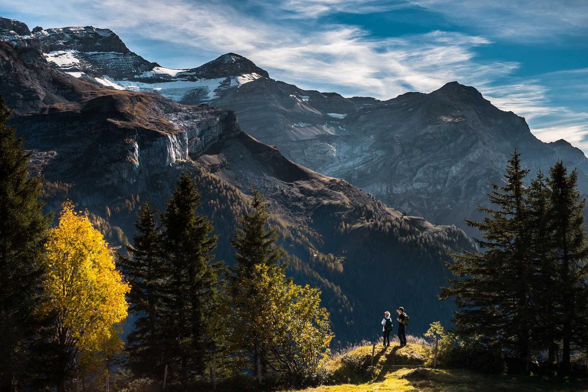 Which Sectors Capture the Most Value During Powder Season?