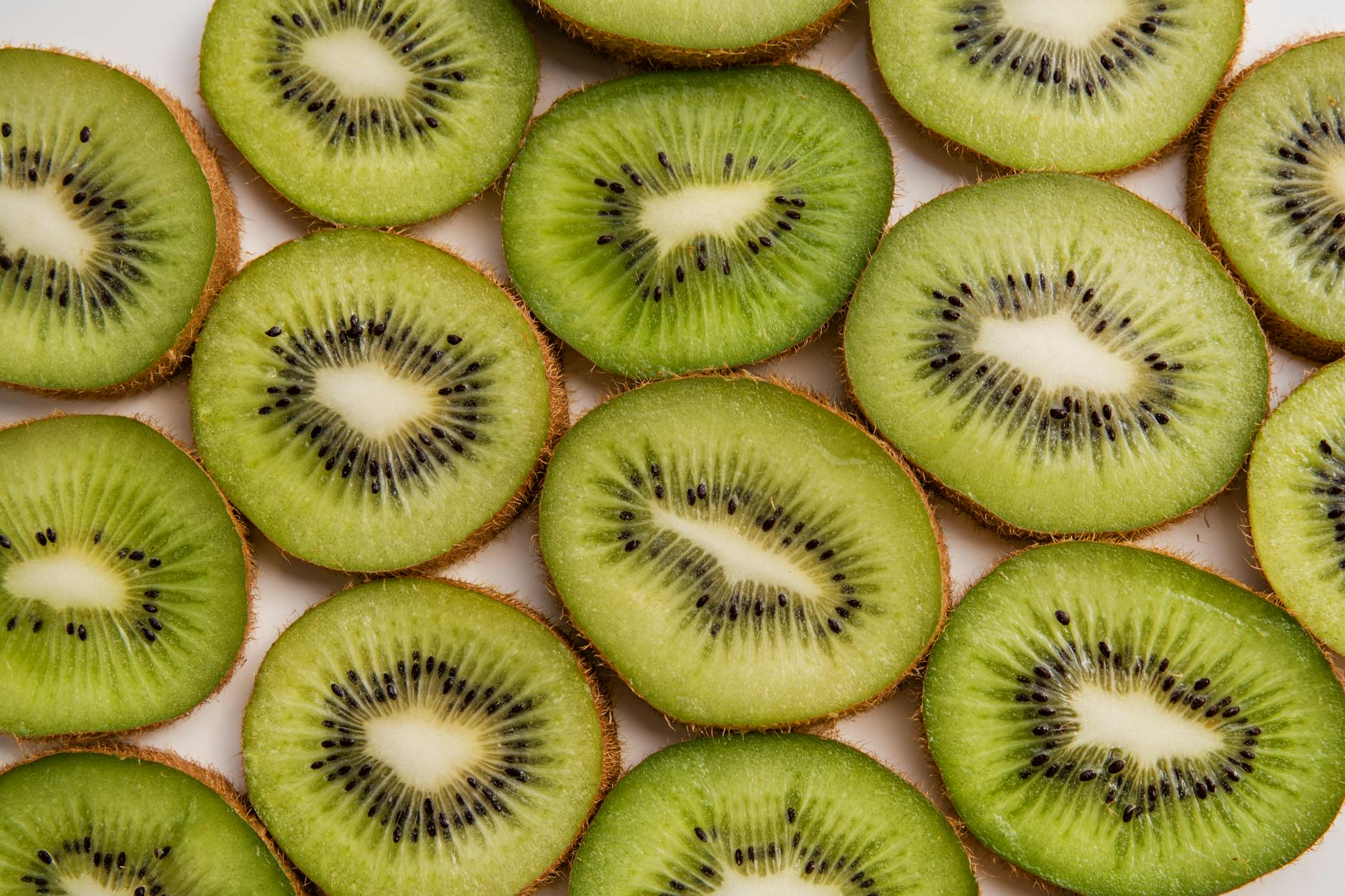 Who Founded Kiwi Farms and What Was His Background?