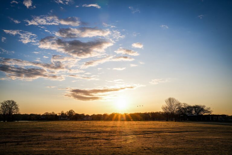Why Daylight Exposure in the Morning Resets the Body Clock - Featured image