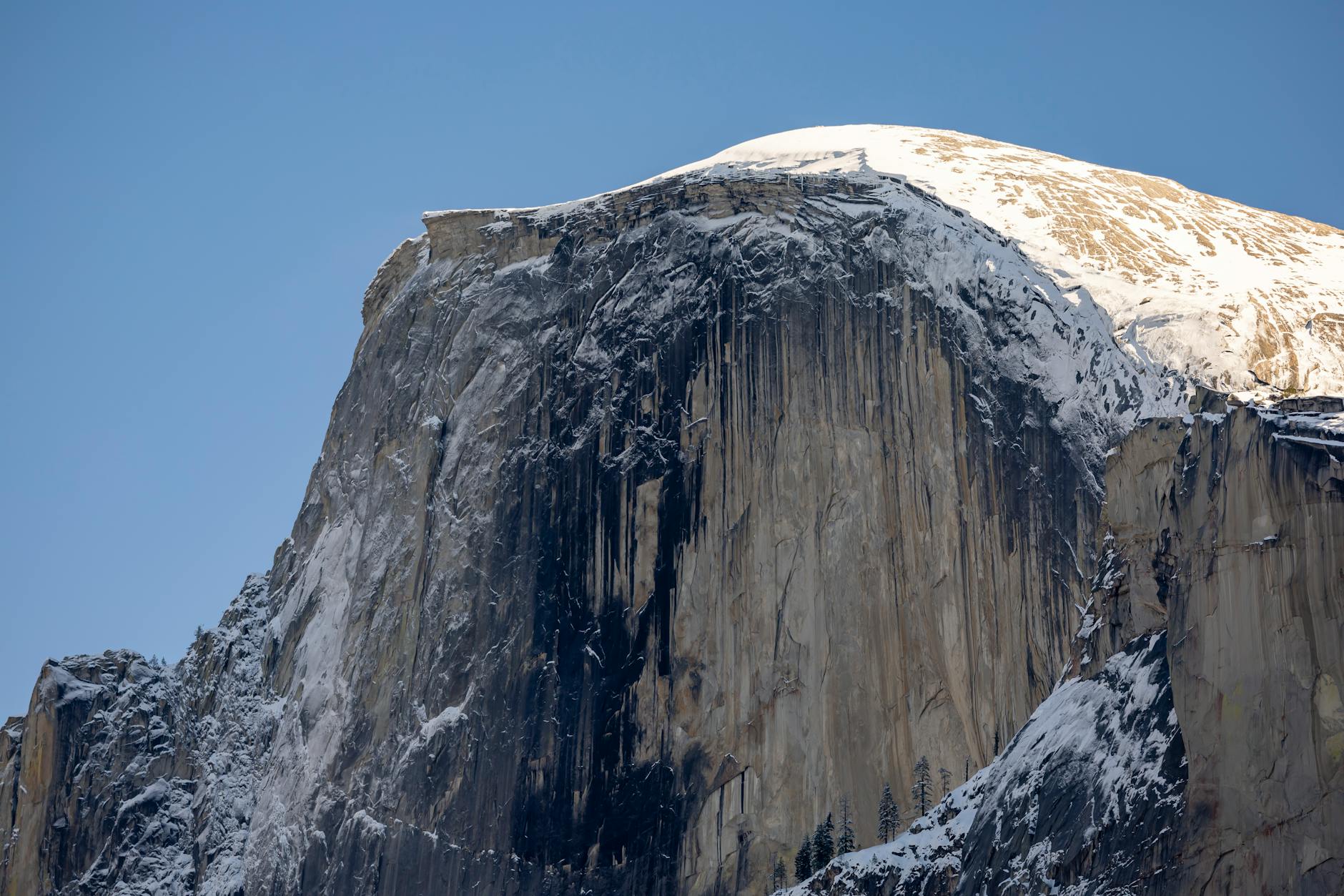 Why Does Yosemite Attract Three Times More Visitors Despite Sequoia's Larger Trees?