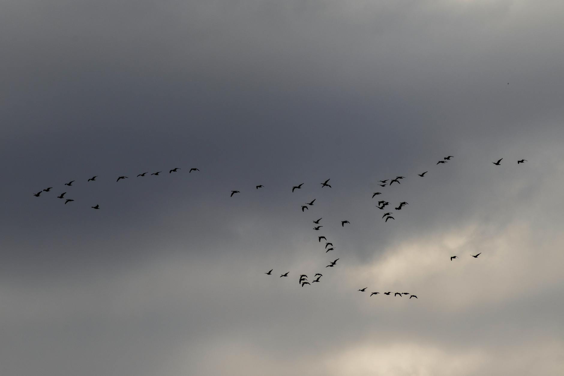 Why Pre-Migration Audits Protect Your Sender Reputation