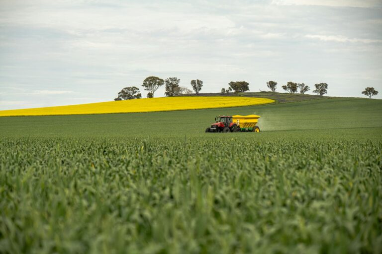 Why Slow Release Fertilizer Beats Liquid for Most Plants - Featured image