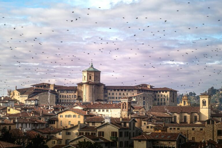 Why Some Medieval Cities Resisted Plague Better Than Others - Featured image