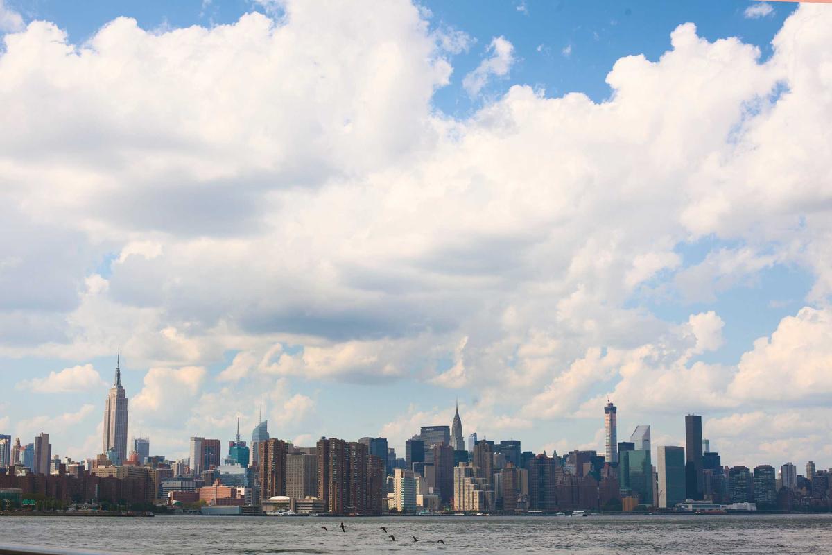 Investor Backing and Strategic Alignment Questions