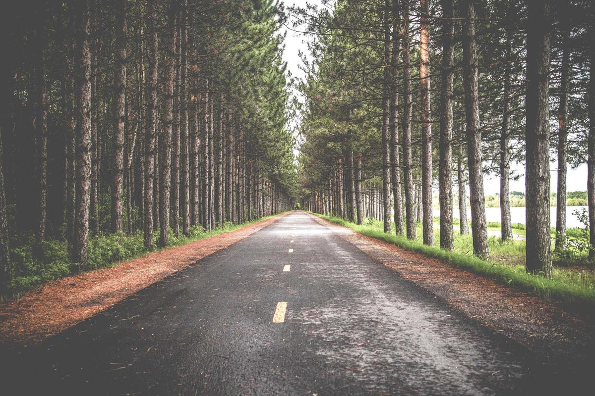 What GitHub's Market Position Means for Enterprise Software Investors